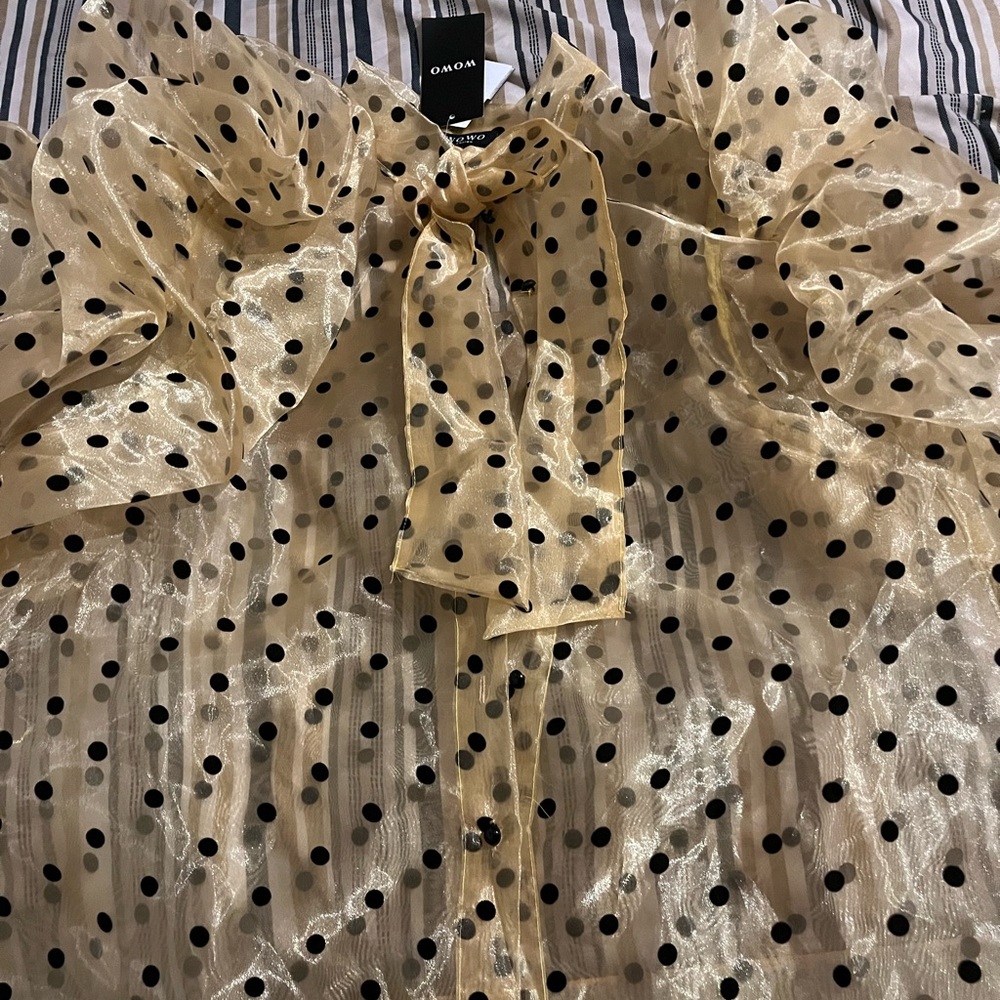 Extra Fabulous Dressy Top